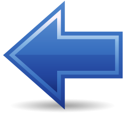 Tem Um Novo Morrador em Minha Cabeça: Piolhos o que Devo Saber?